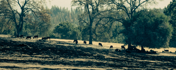 2015-09-30-1443580021-9979021-ButteFire_09261516.jpg