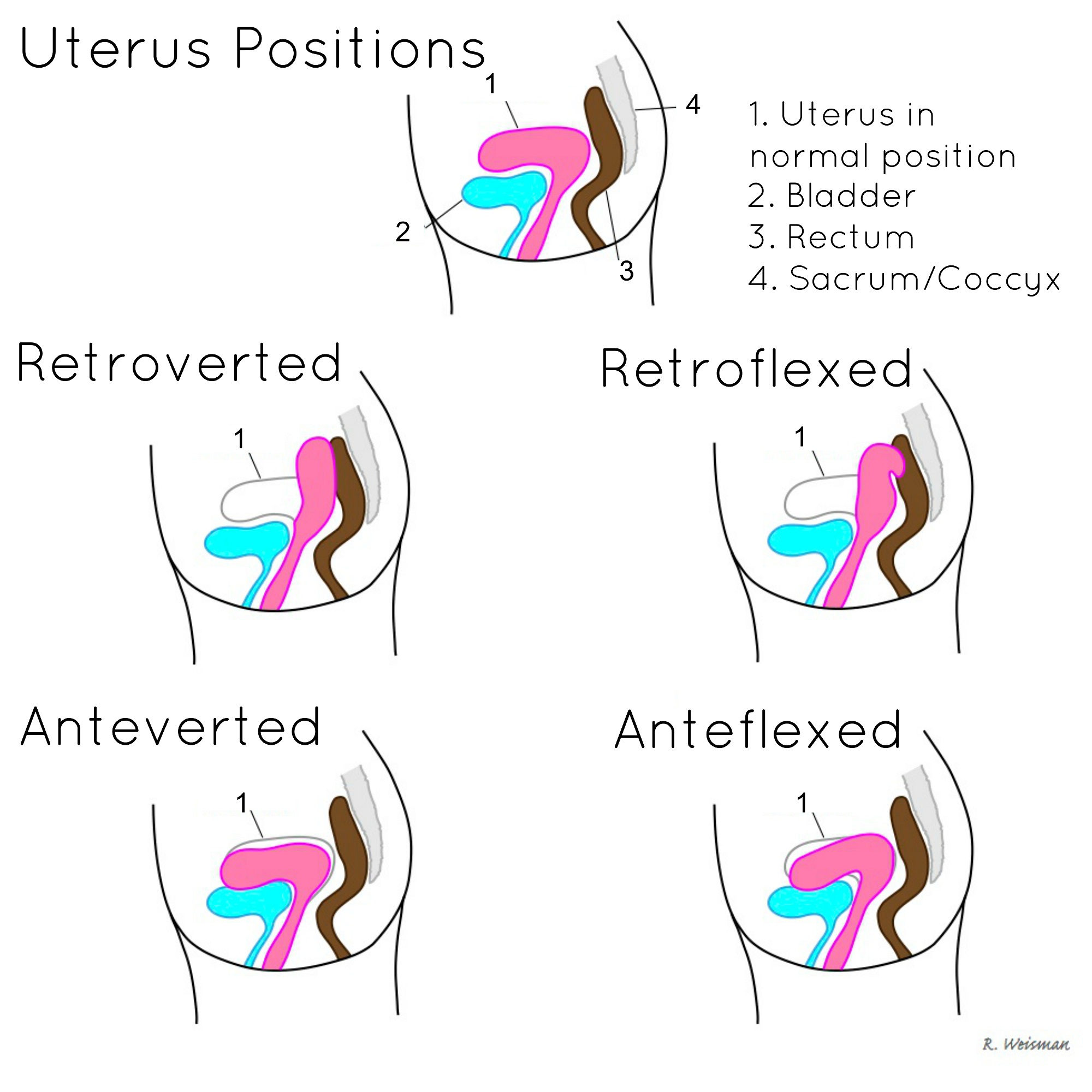 8 Positions to Help with Period Cramps – Garnuu