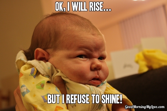 Cute and Funny  Good  Morning  Memes HuffPost