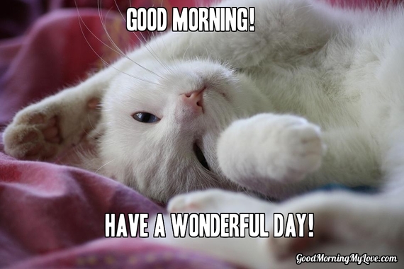 Cute and Funny Good Morning Memes | HuffPost