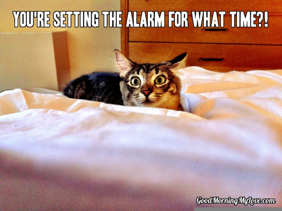 Cute and Funny Good Morning Memes | HuffPost