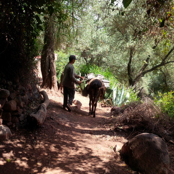 2015-10-25-1445803726-6877776-morocco.jpg