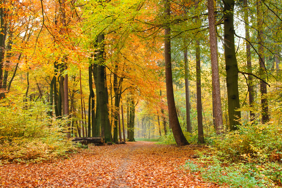 10 Ways to Slow Down and Embrace Autumn