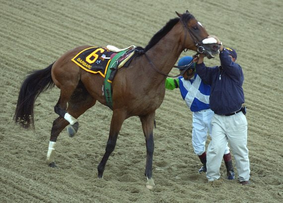 2015-10-27-1445951125-4029198-1barbaro3.jpg