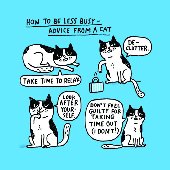 2015-10-29-1446149704-7992539-catadvice_CMYK.jpg