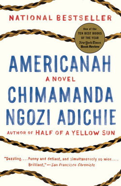 2015-11-05-1446746161-1833909-Americanah.jpeg