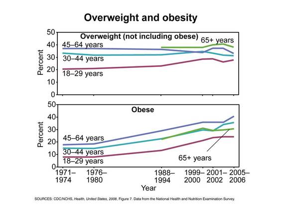2015-11-09-1447031637-2471647-ObesityGraph.jpg