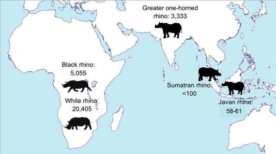 2015-11-11-1447209696-6427782-RhinoMapUpdated_large.jpg