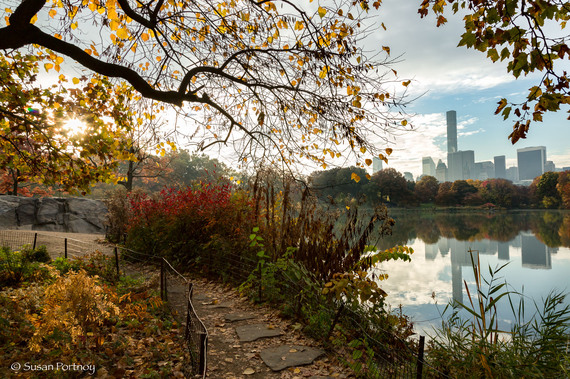 21 Photos That Will Make You Want To Visit Central Park Now! | HuffPost