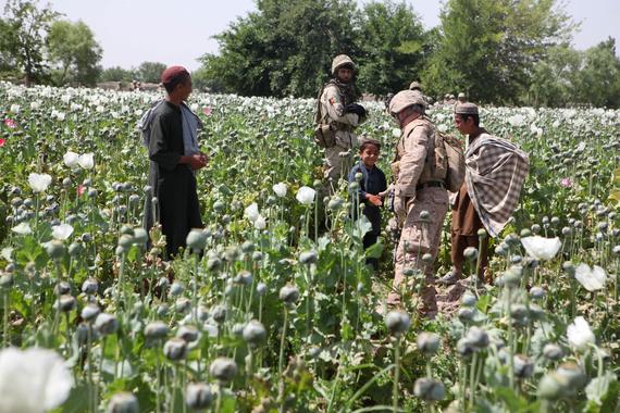 2015-11-13-1447386599-3381026-TalibanOpium_poppies_in_Helmand_a.jpg