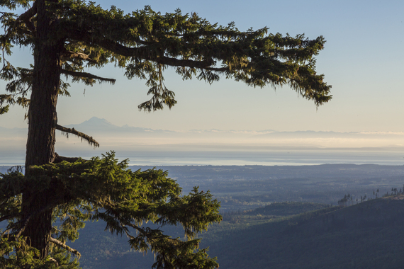 2015-11-13-1447434239-7310459-MtBakerintheDistance.jpg