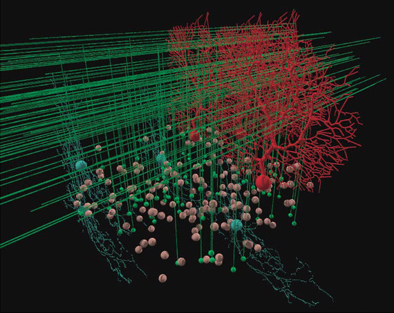 2015-11-13-1447446927-1185949-PR20151019_NeuroscienceGateway.jpg