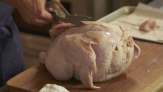 Hugh Acheson spatchcocks a Thanksgiving turkey