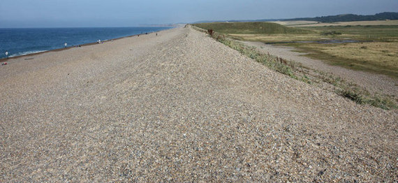2015-11-30-1448904436-2896519-shingleridgejohnsalmongeograph.jpg