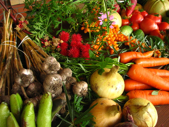 2015-12-05-1449333738-8347074-Ecologically_grown_vegetables.jpg