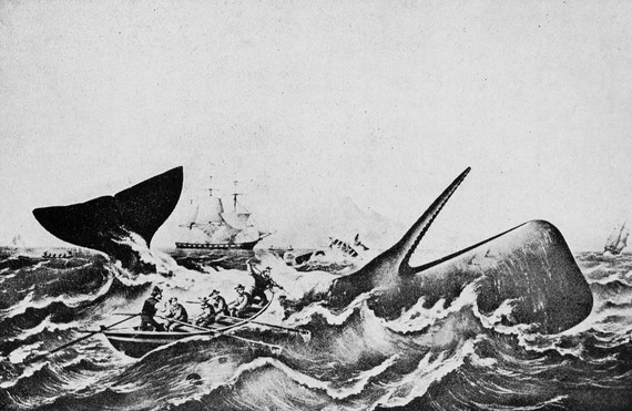 2015-12-07-1449472556-1511010-Sperm_whaling__The_capture.jpg