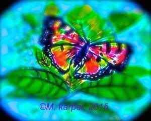 2015-12-08-1449539323-8584183-Butterfly.1.enhanced.blurred.2.jpg