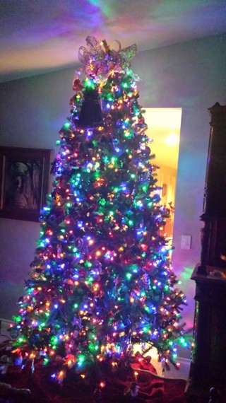 2015-12-12-1449950600-2724982-2014Christmastreelit.jpg