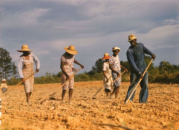 2015-12-13-1450034873-3484622-1024pxSharecroppers_chopping_cotton__1941.jpg