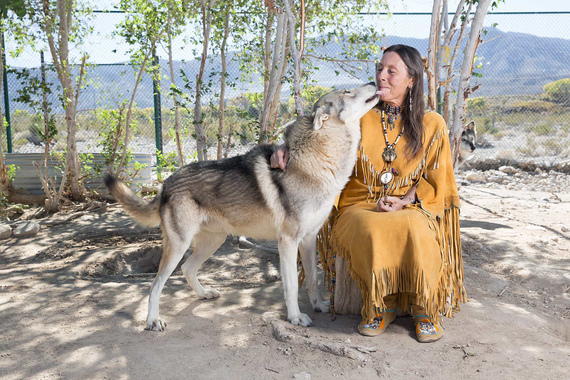 Right Next Door Tonya Carloni Littlewolf Wolf Whisperer