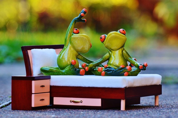 2015-12-16-1450227713-3725758-frog1080010_1280.jpg