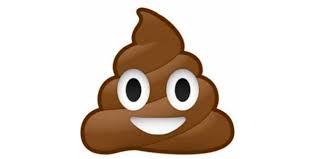 2015-12-16-1450270450-6595623-pileofpoop.jpg