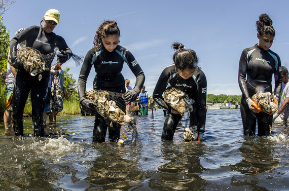 2015-12-16-1450298098-982714-buildingoysterreefs_32469313.jpg