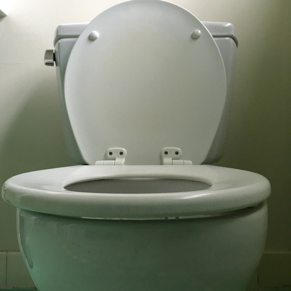 2015-12-21-1450727994-7031602-looming_toilet.jpg