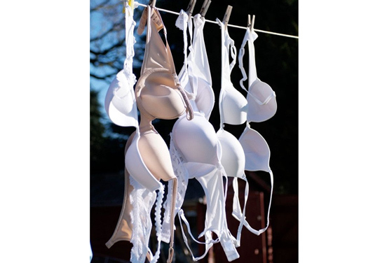 A Genius Trick For Washing Your Bra