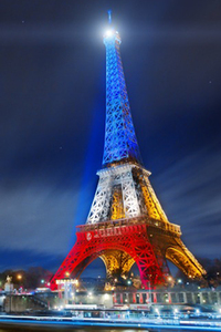 2015-12-30-1451450782-7668125-PrayforParis2015YearReviewCCArthurTysikuu.jpg