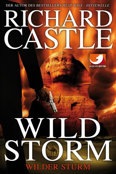 2016-01-01-1451638967-5903848-WildStormWilderSturmEinDerrickStormRomanvonRichardCastle.jpg