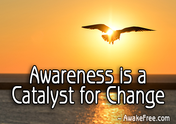 Awareness is a Catalyst for Change