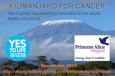 2016-01-17-1453053465-8435352-KilimanjaroforCancer.jpg