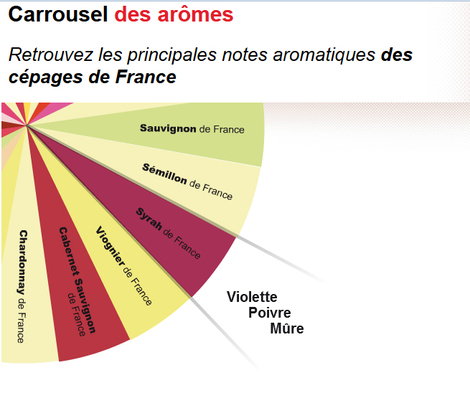 2016-01-19-1453170559-7388162-Carrouseldesarmes.jpg