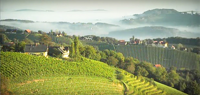 2016-01-27-1453855545-588716-Vignes1.jpg