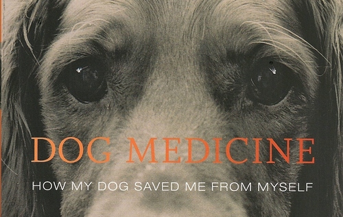 2016-01-27-1453863609-1608630-dogmedicinecover0001.jpg