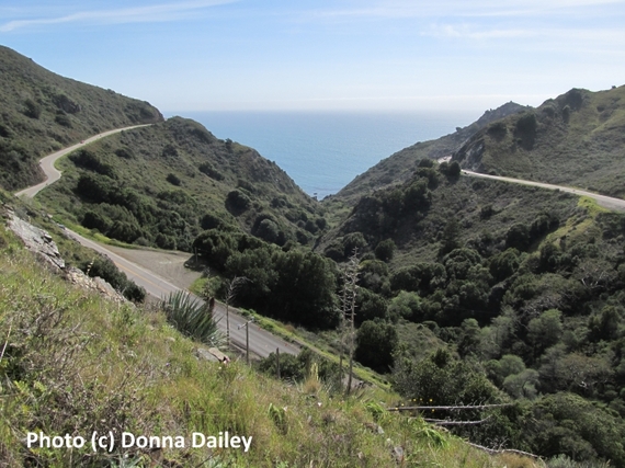 2016-02-01-1454334324-5825505-Top_USA_Driving_Tips_Pacific_Coast_Highway.jpg