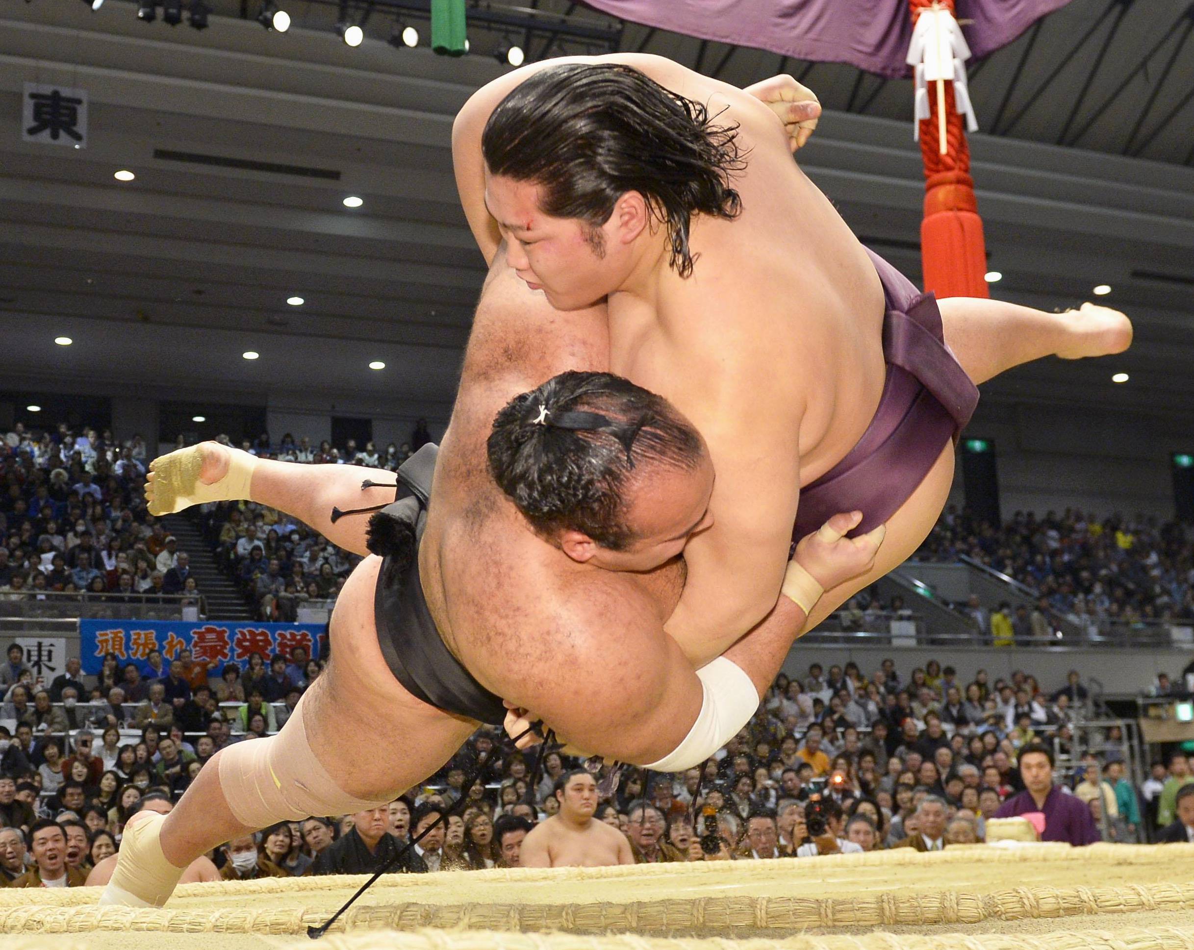 Что такое сумо. Борьба тяжеловесов сумо.