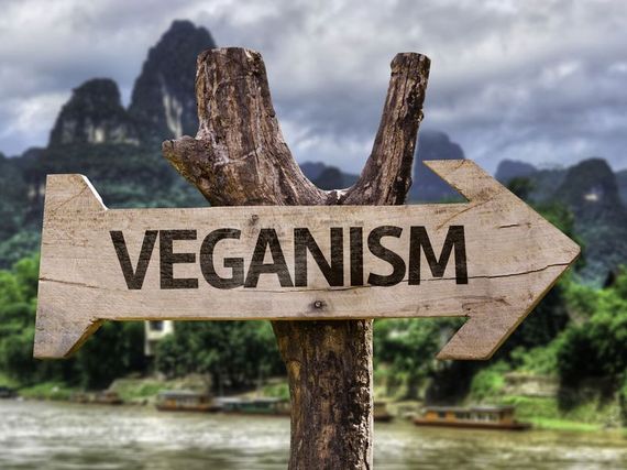 2016-02-09-1455055812-6477712-veganismun.0.0.jpg