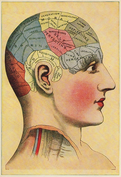 2016-02-16-1455664981-7981749-phrenology.jpg