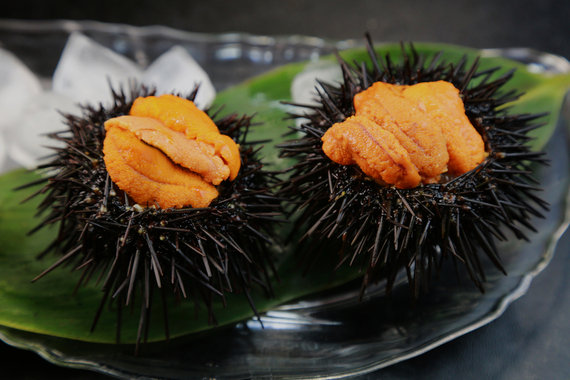 2016-02-23-1456262333-4821019-seaurchin_uni.jpg