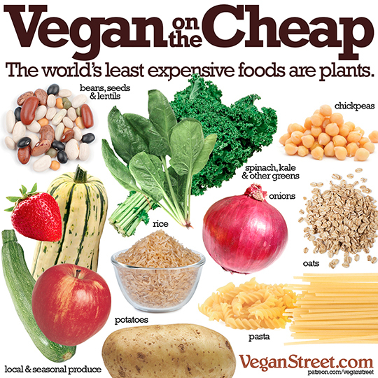 2016-02-29-1456782704-2039029-veganonthecheaplg.jpg