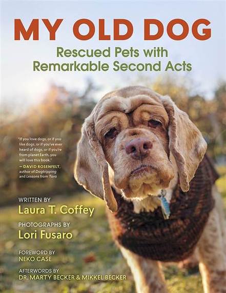 2016-03-02-1456939246-8625395-my_old_dog__most_recent_book_cover_6fc9545f9213517e450f801a.jpg