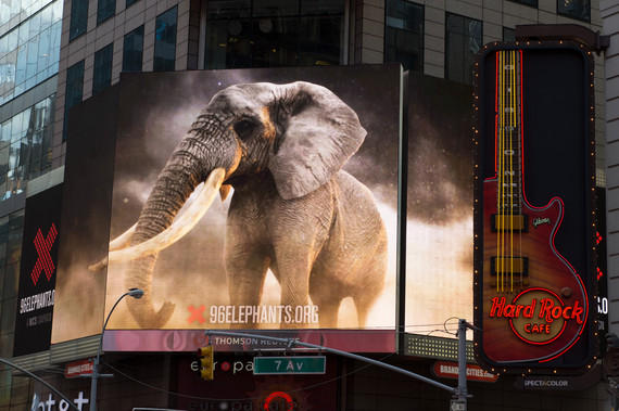 2016-03-03-1457022347-4233190-JulieLarsenMaher_1790_96ElephantsTimesSquareScreensNewYork_USA_042815_hr.jpg