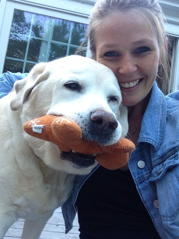 where do all the dogs go?