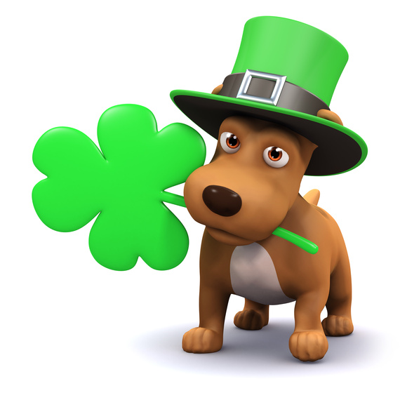 2016-03-08-1457454881-7245193-StPatrickDayDog.jpg