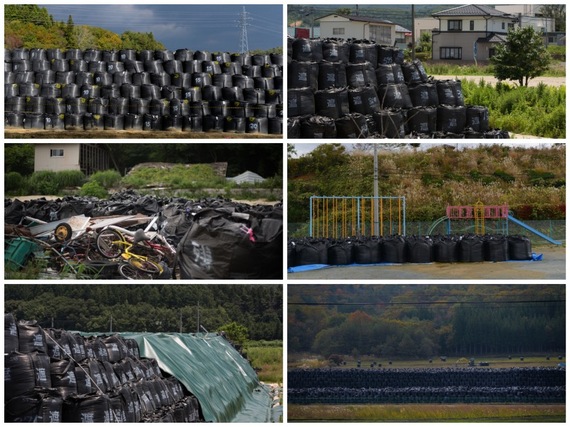2016-03-10-1457628871-2506715-4NuclearWaste.jpg