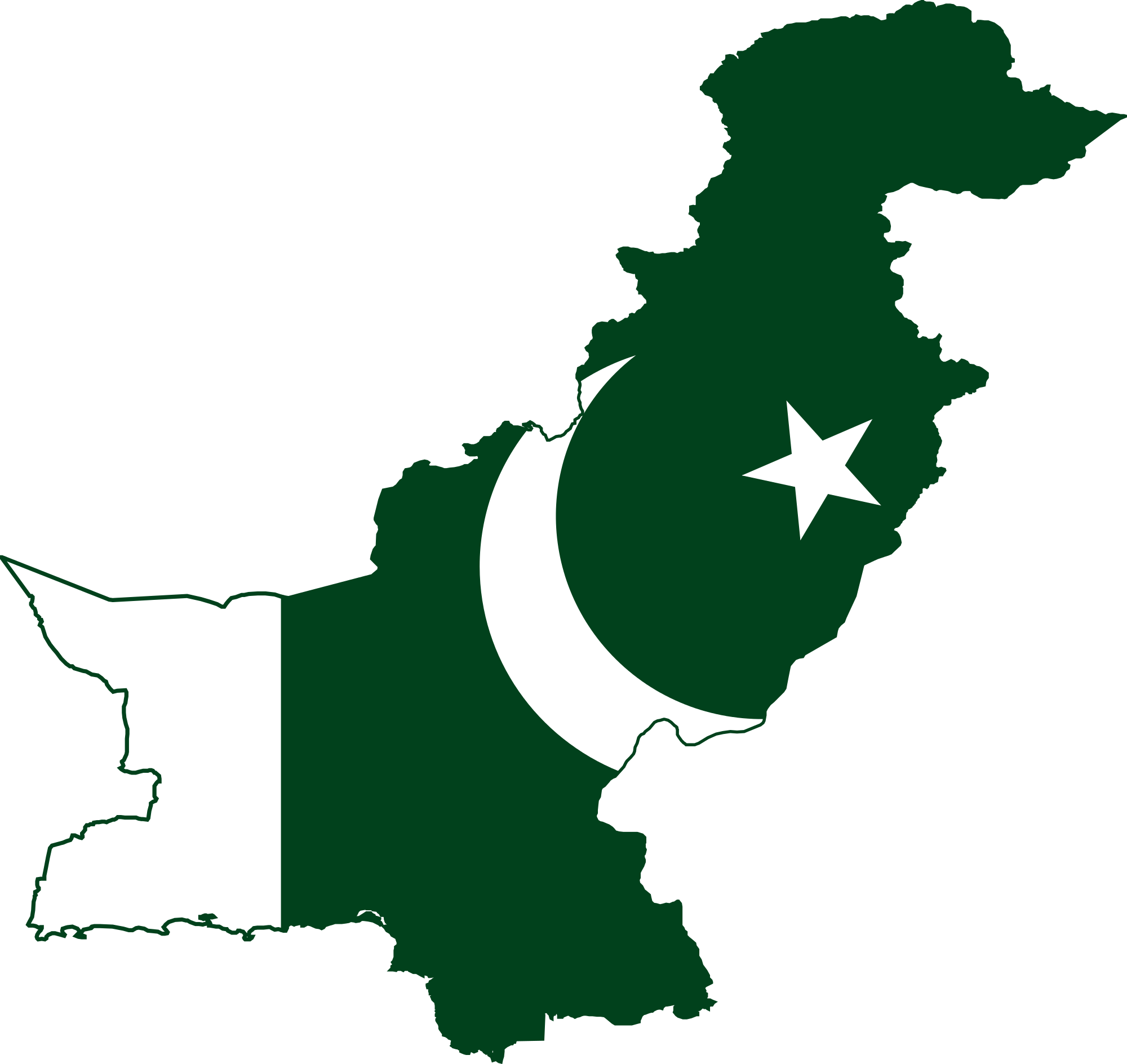 pakistan adoption
