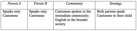 monolingual household - chart 3 