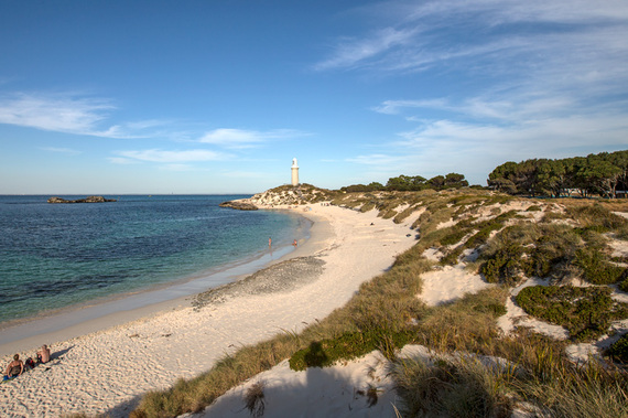 2016-03-31-1459427937-2068111-rottnestisland.jpg